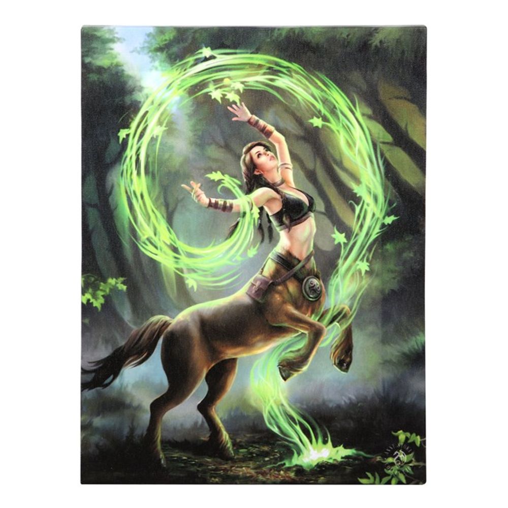 Earth Element Sorceress Canvas Plaque by Anne Stokes: 2 - Wall Art By Gift Moments