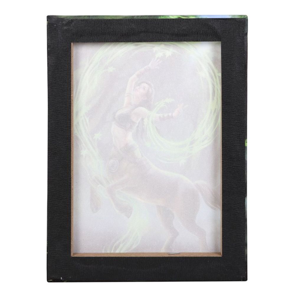 Earth Element Sorceress Canvas Plaque by Anne Stokes: 4 - Wall Art By Gift Moments