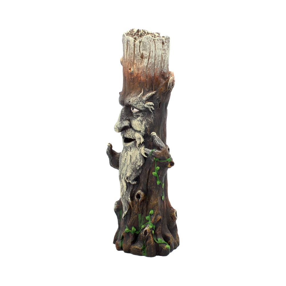 Ent King Green Man Tree Spirit Pagan Wiccan Incense Holder: 3 - Incense Holders By Gift Moments