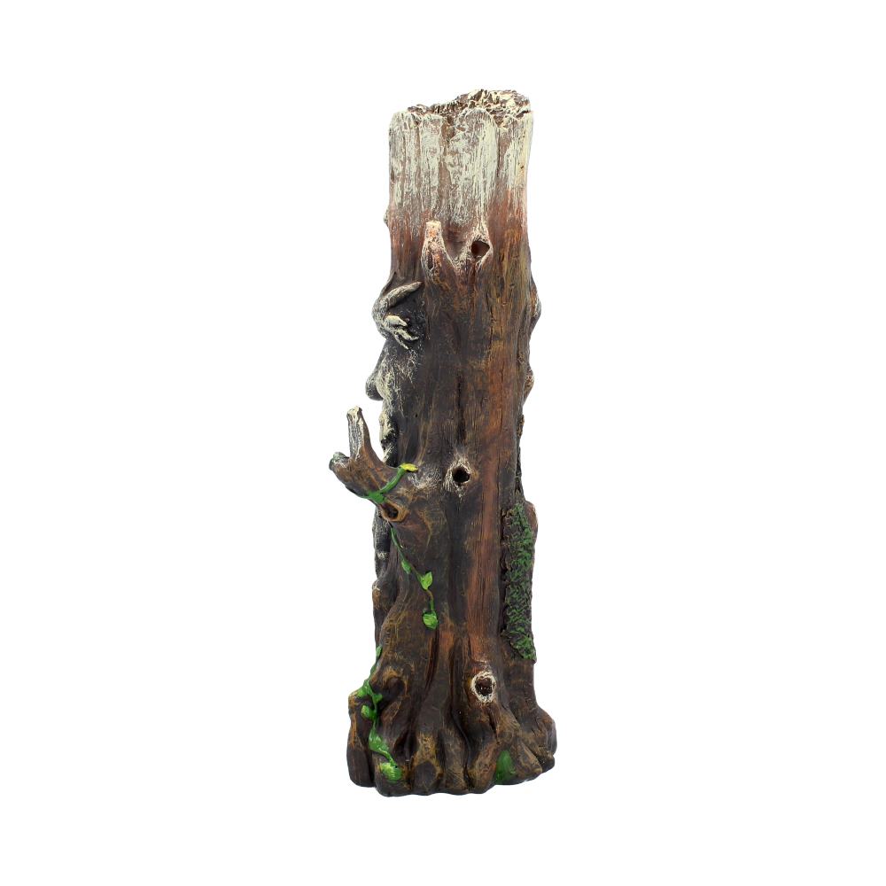 Ent King Green Man Tree Spirit Pagan Wiccan Incense Holder: 4 - Incense Holders By Gift Moments