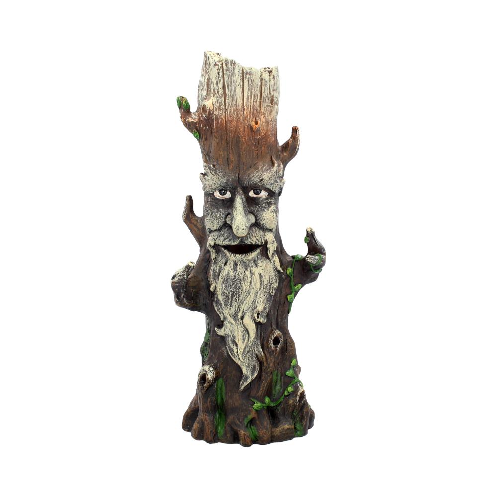 Ent King Green Man Tree Spirit Pagan Wiccan Incense Holder: 2 - Incense Holders By Gift Moments