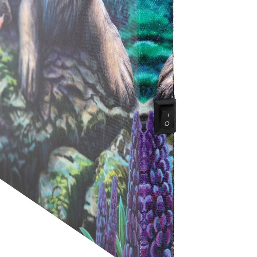 Fairy Stories Light Up Canvas Plaque by Lisa Parker: 4 - Wall Art By Gift Moments