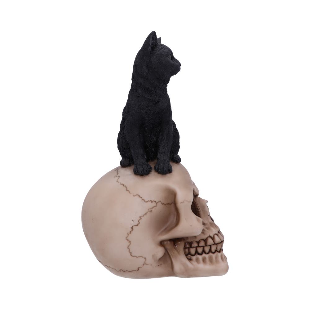 Familiar Fate 24.3cm Black Witches Cat and Skull Figurine: 5 - Figures & Collectables By Gift Moments