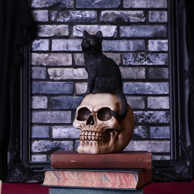 Familiar Fate 24.3cm Black Witches Cat and Skull Figurine: 1 - Figures & Collectables By Gift Moments