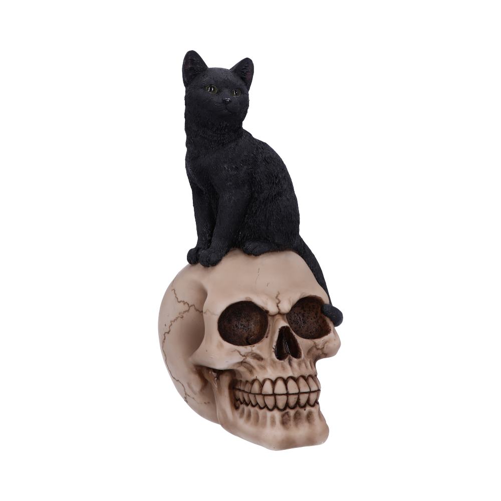 Familiar Fate 24.3cm Black Witches Cat and Skull Figurine: 2 - Figures & Collectables By Gift Moments