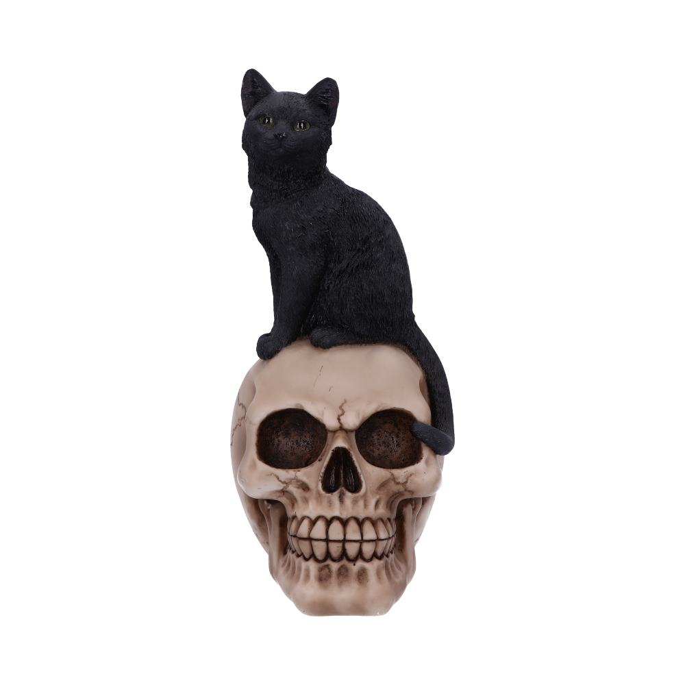 Familiar Fate 24.3cm Black Witches Cat and Skull Figurine: 3 - Figures & Collectables By Gift Moments