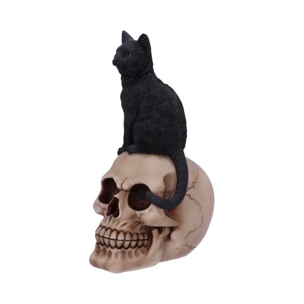 Familiar Fate 24.3cm Black Witches Cat and Skull Figurine: 4 - Figures & Collectables By Gift Moments