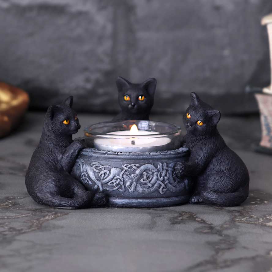 Familiar Trio Cat Tea Light Holder 10cm: 1 - Candles & Holders By Gift Moments