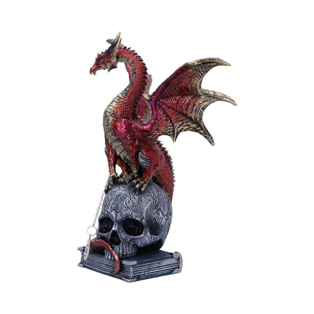 Fate of the World Dragon on Skull Figurine 23cm: 3 - Figures & Collectables By Gift Moments