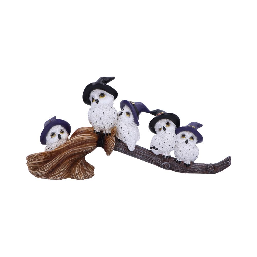Feathered Owls on Broomstick Figurine 26cm - Shop Figures & Collectables At Gift Moments - 2