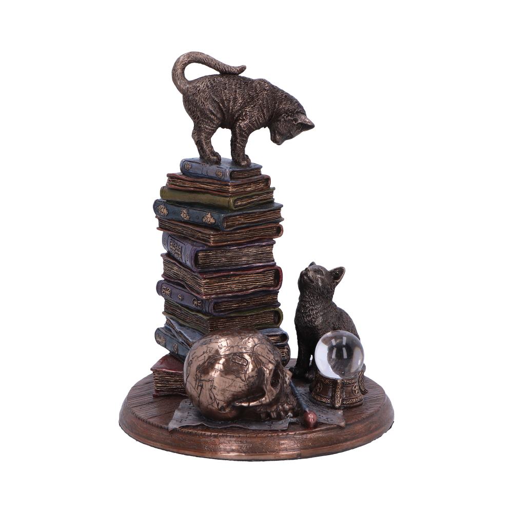 Feline Scholars Bronze Cat Ornament: 5 - Figures & Collectables By Gift Moments