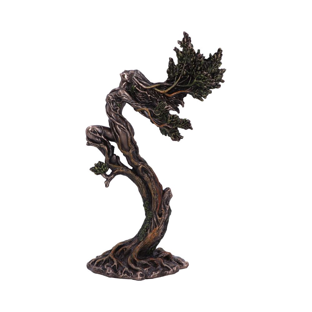 The Forest Nymph Elemental Figurine 25cm: 2 - Figurines Medium (15-29cm) By NN Designs