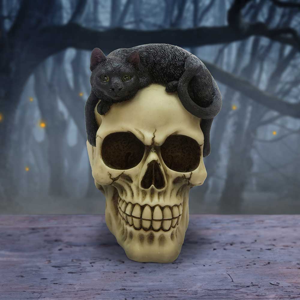 Forever Friend Black Cat Skull Head 14.5cm: 1 - Figures & Collectables By Gift Moments