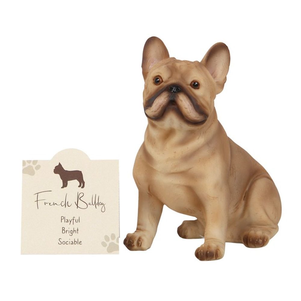 French Bull Dog Ornament: 2 - Ornaments By Gift Moments