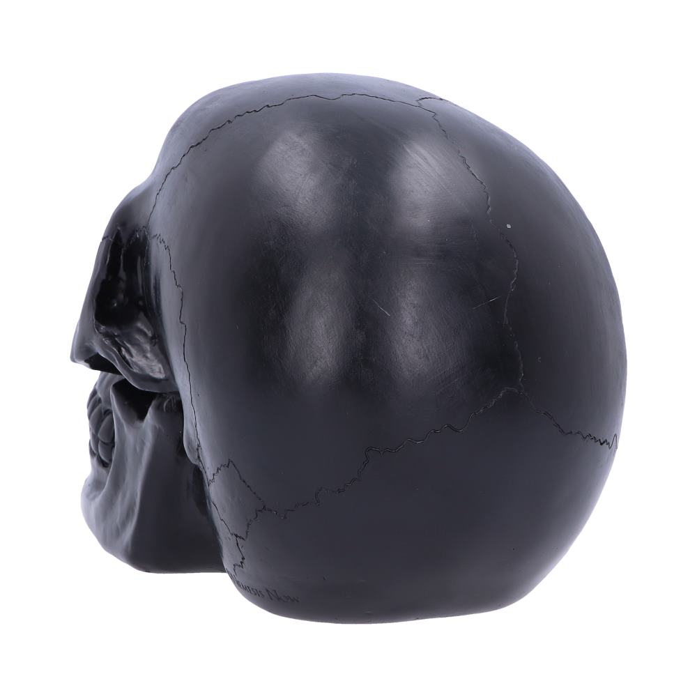 Geode Skull Black Red Gothic Glitter Skull Figurine: 4 - Figures & Collectables By NN Designs