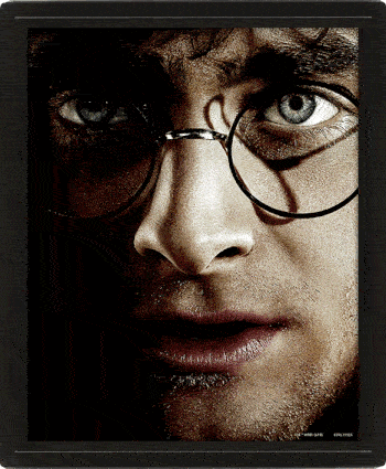 Harry Potter Framed 3D Picture - Shop Wall Art At Gift Moments - 1