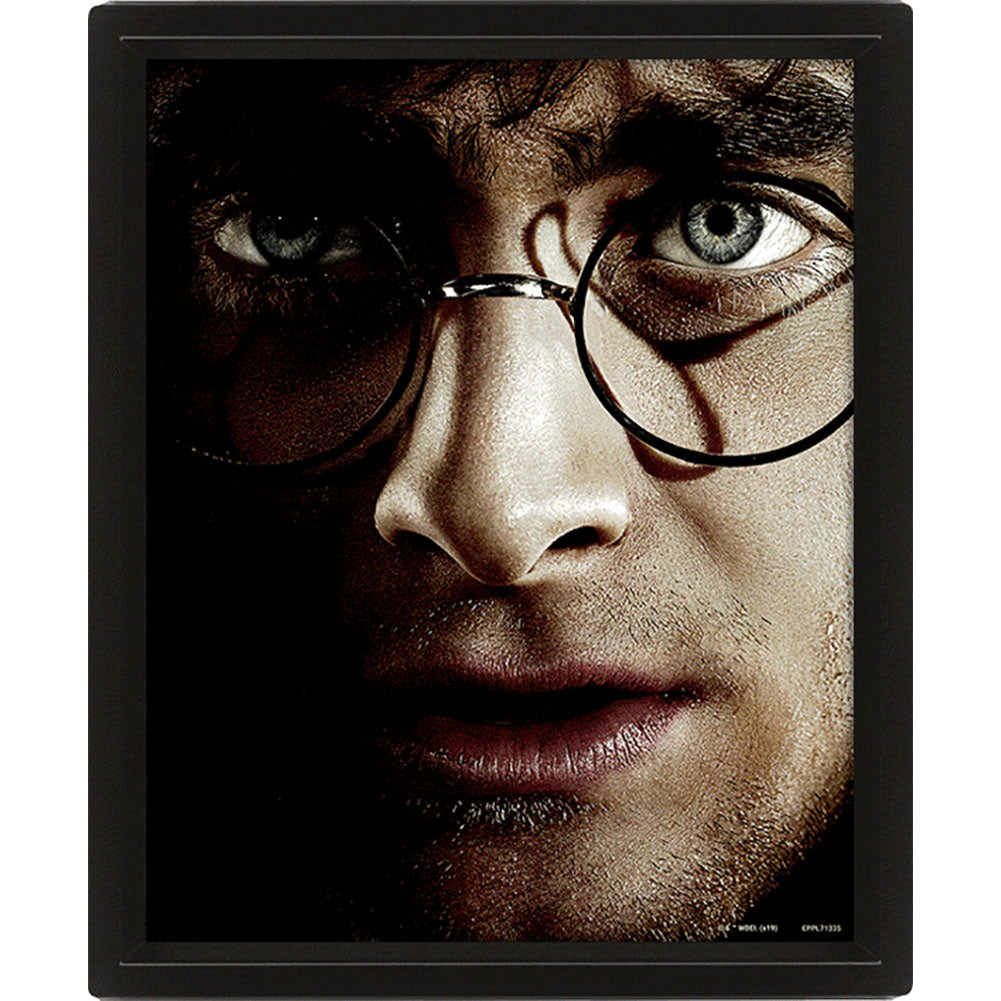 Harry Potter Framed 3D Picture - Shop Wall Art At Gift Moments - 2