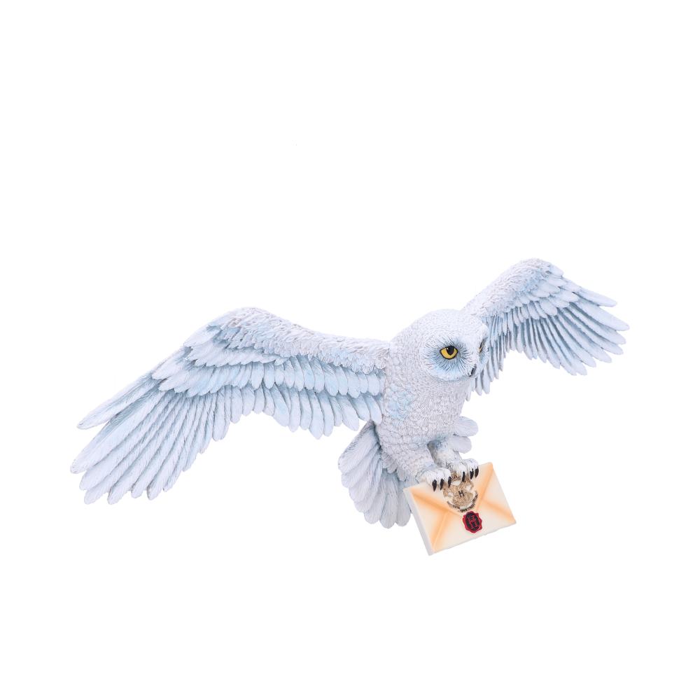 Harry Potter Hedwig Owl Wall Plaque - Shop Signs & Plaques At Gift Moments - 3
