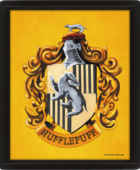 Harry Potter Hufflepuff Framed 3D Picture - Shop Framed Prints At Gift Moments - 1