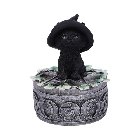 Ivy Familiar Box 15cm: 2 - Boxes By Gift Moments