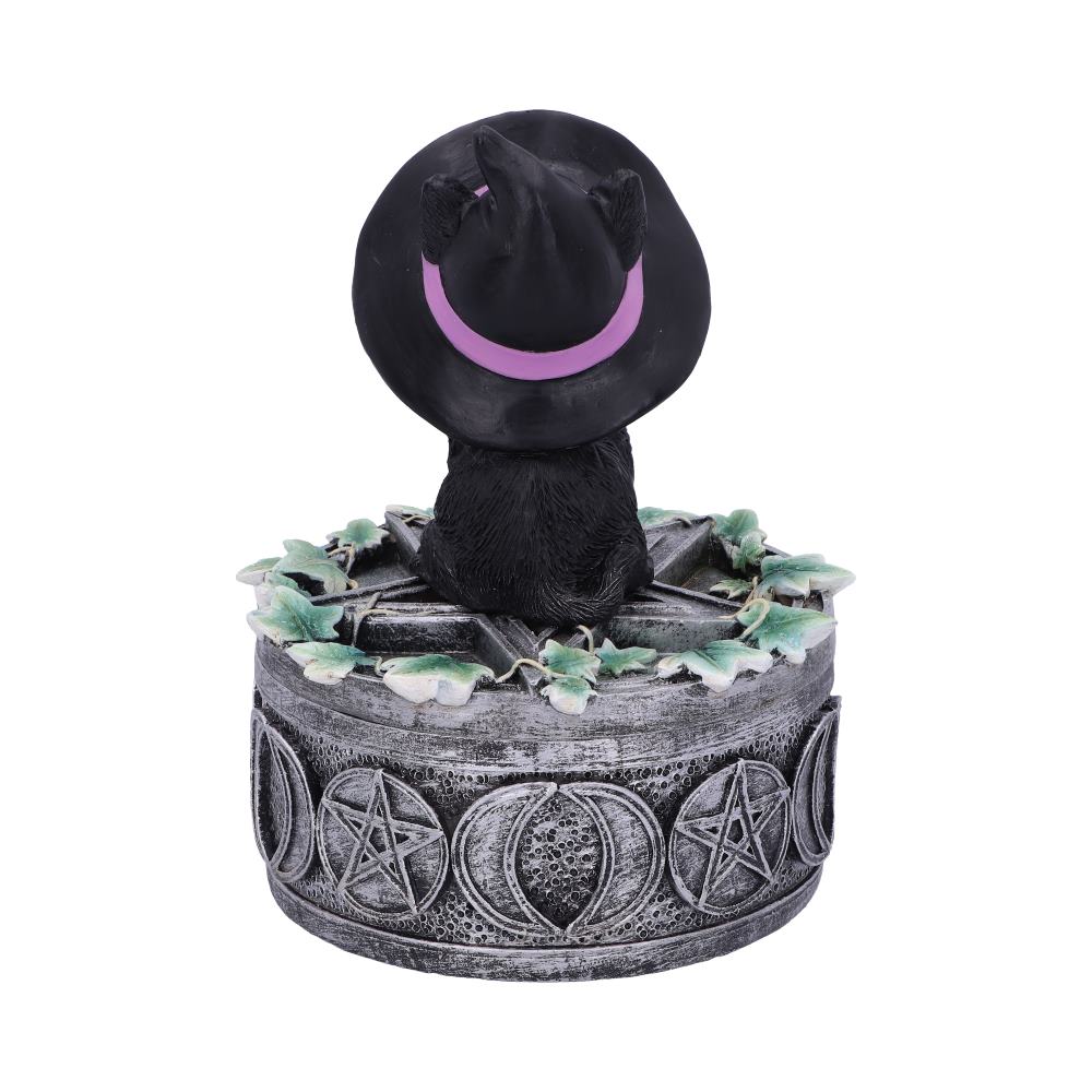 Ivy Familiar Box 15cm: 4 - Boxes By Gift Moments