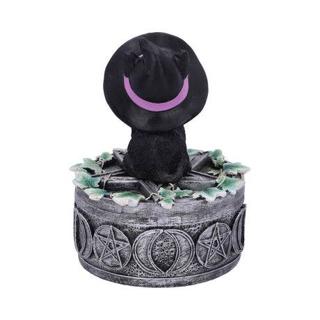 Ivy Familiar Box 15cm: 4 - Boxes By Gift Moments