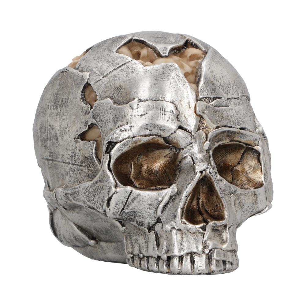 Large Alternative Fracture Skull 16cm: 2 - Figures & Collectables By Gift Moments