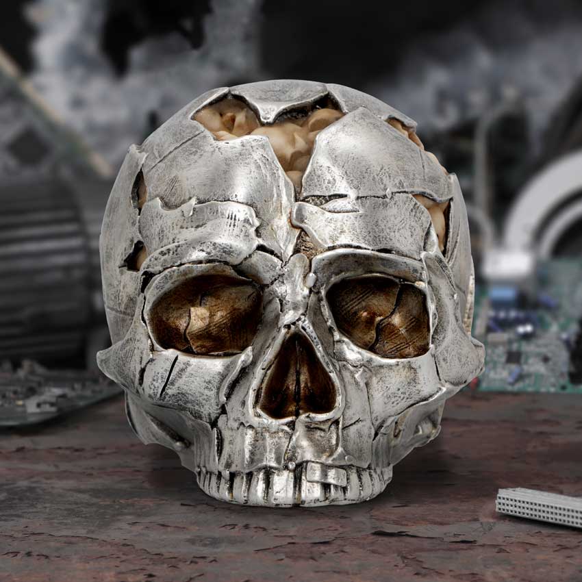 Large Alternative Fracture Skull 16cm: 1 - Figures & Collectables By Gift Moments