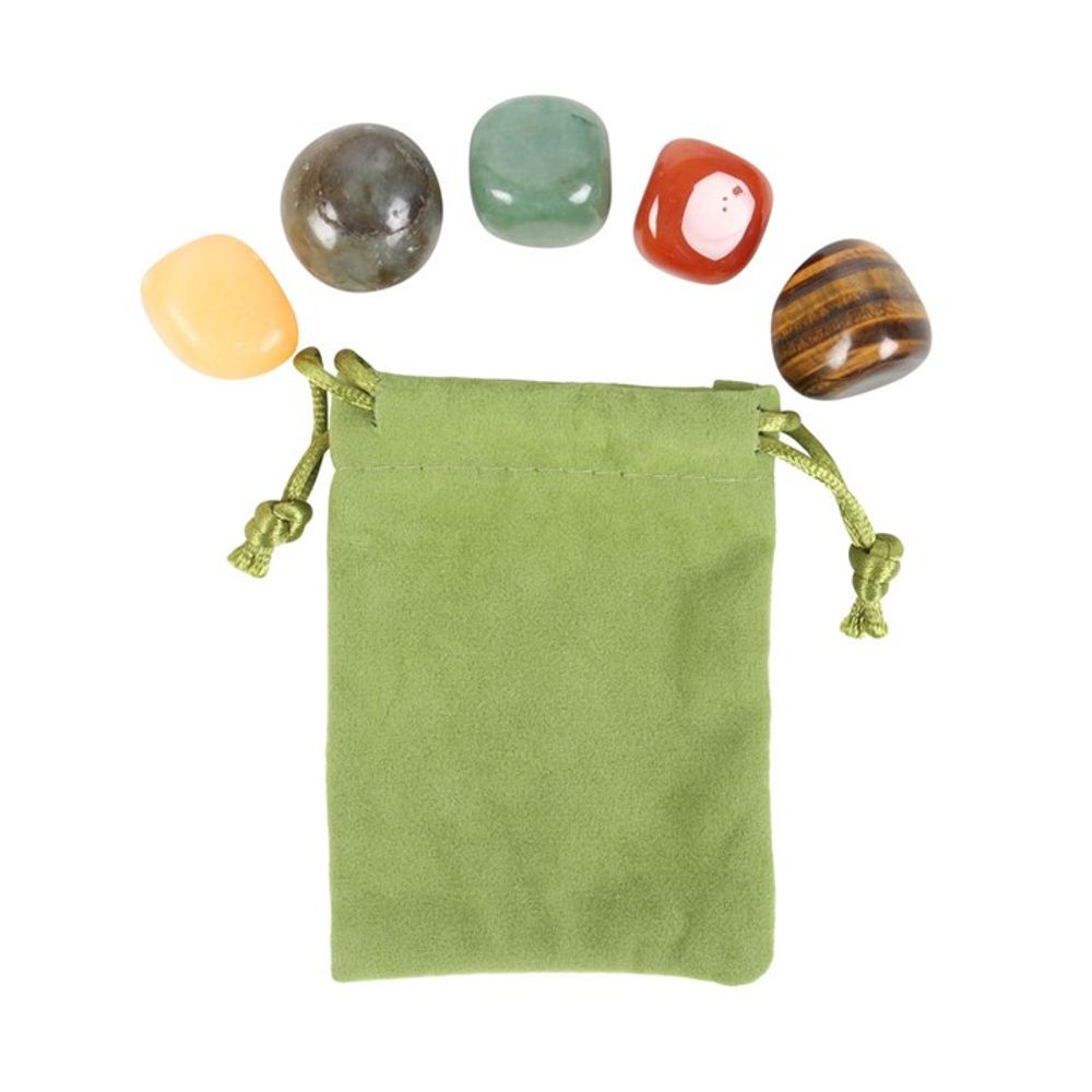 Leo Crystal Tumblestone Set: 5 - By Gift Moments