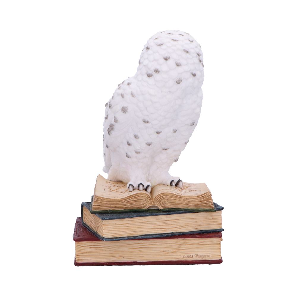 Library of Wisdom White Owl Figurine: 4 - Figures & Collectables By Gift Moments