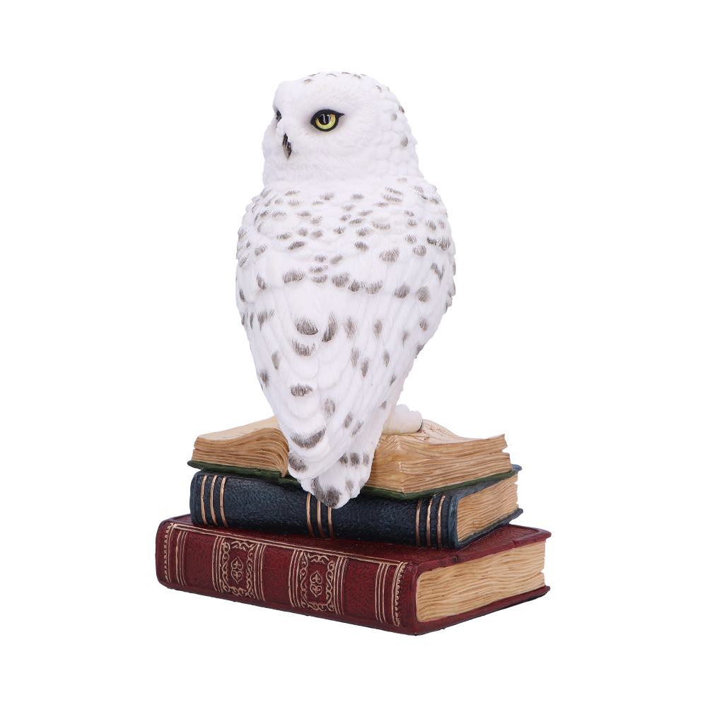 Library of Wisdom White Owl Figurine: 3 - Figures & Collectables By Gift Moments