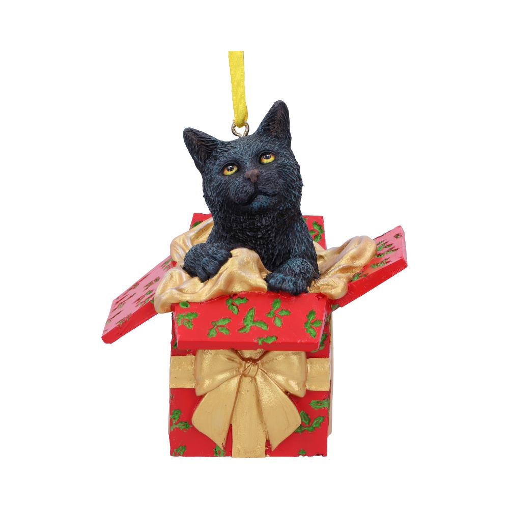 Lisa Parker Present Cat Hanging Ornament 9cm: 2 - Hanging Decorations By Lisa Parker