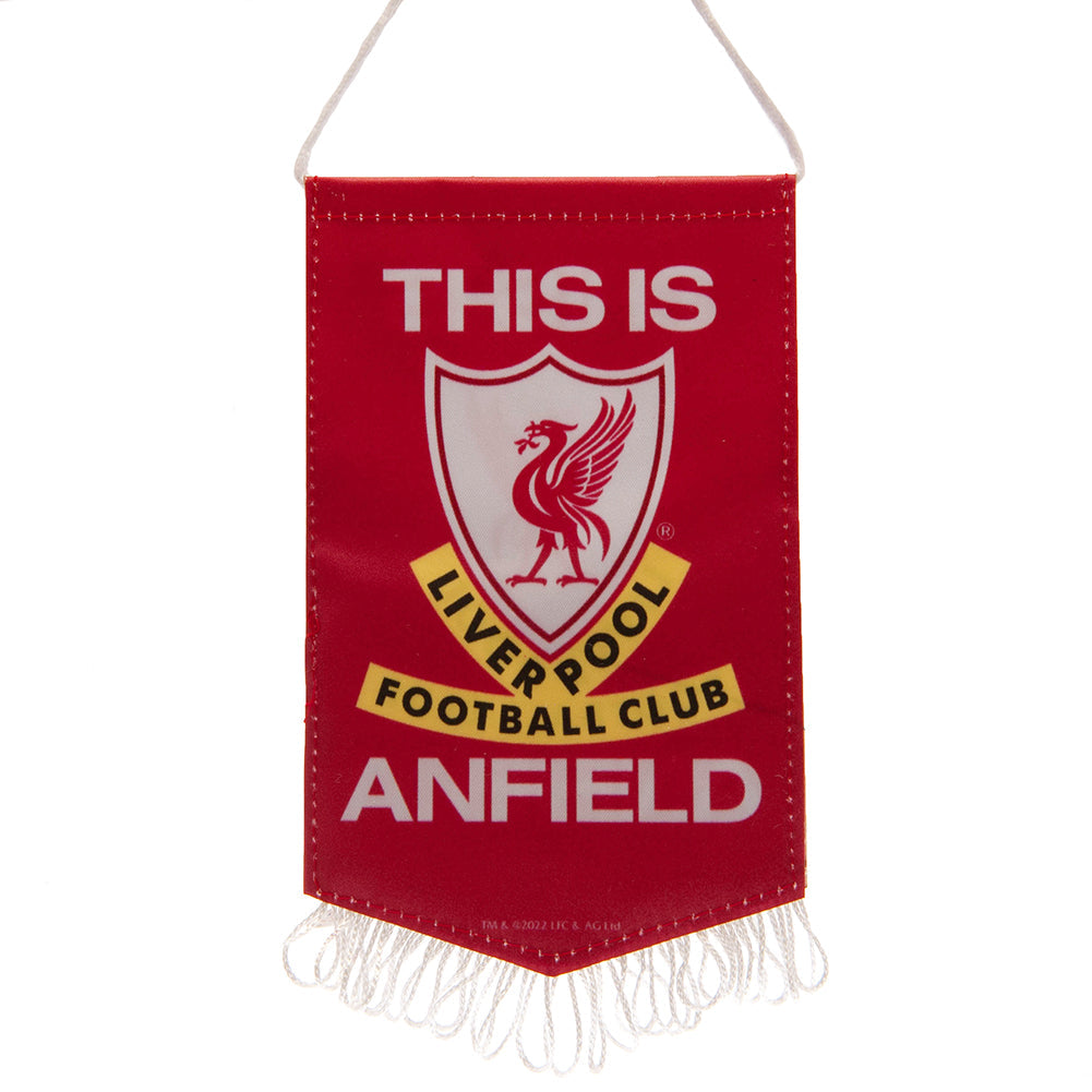 Liverpool FC TIA Mini Pennant - Shop Flags & Banners At Gift Moments - 1