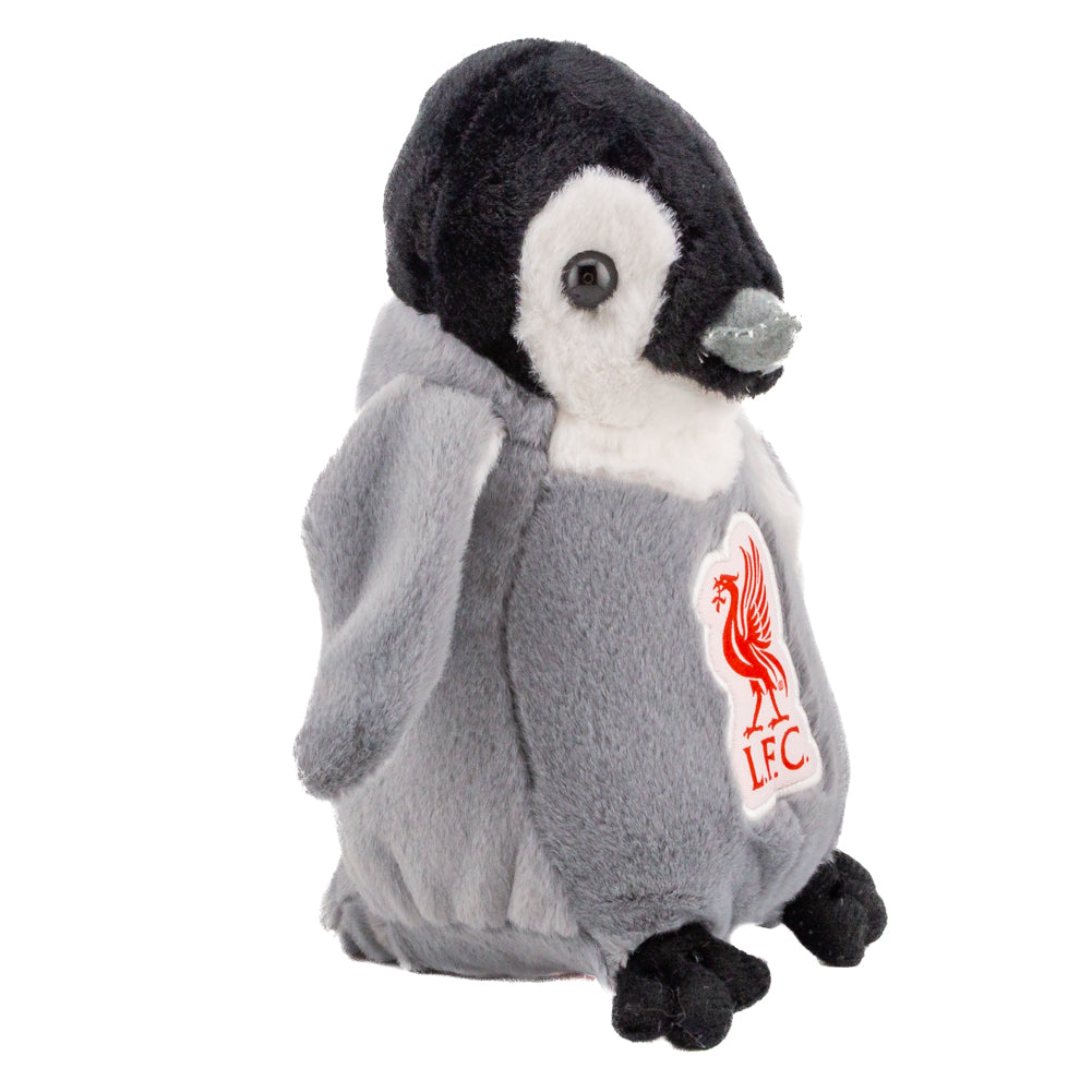 Liverpool FC Plush Penguin - Shop Teddy Bears & Soft Toys At Gift Moments - 3