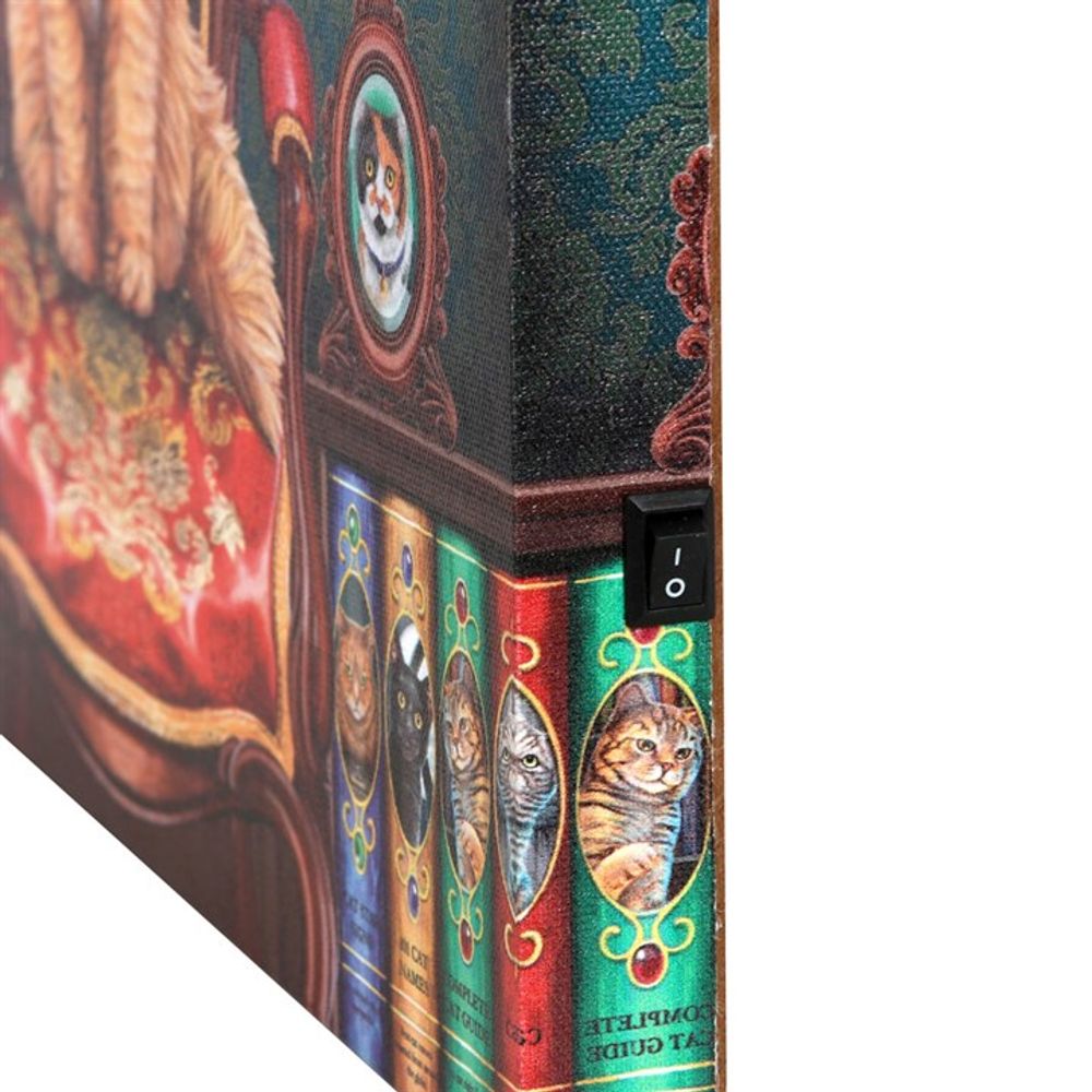 Mad About Cats Light Up Canvas By Lisa Parker: 4 - Wall Art By Gift Moments