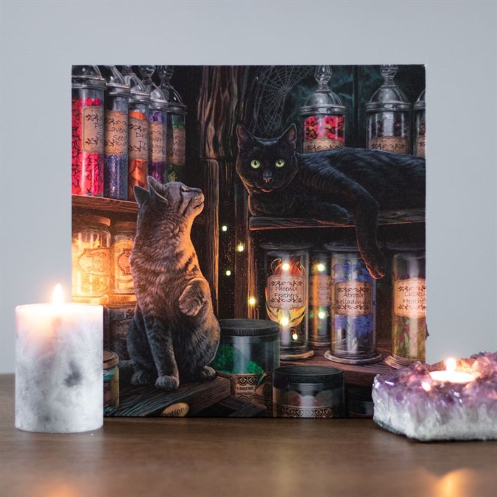 Magical Emporium Light Up Canvas Plaque by Lisa Parker: 1 - Wall Art By Gift Moments