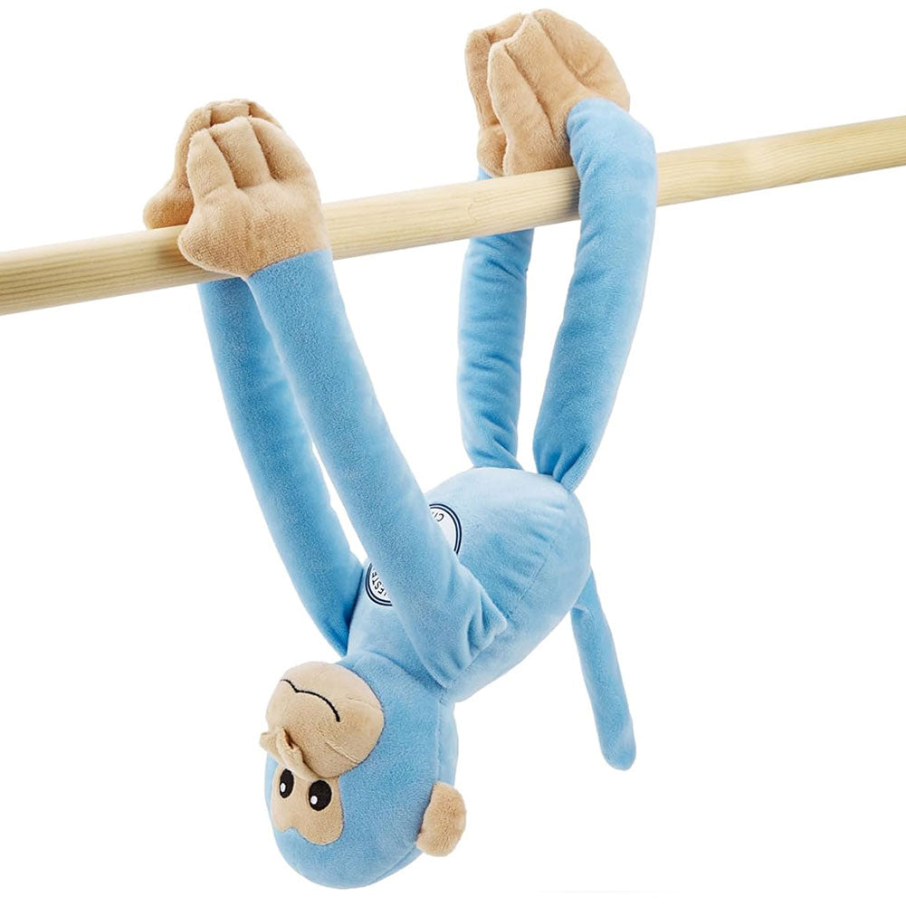 Manchester City FC Plush Hanging Monkey: 2 - Teddy Bears & Soft Toys By Manchester City