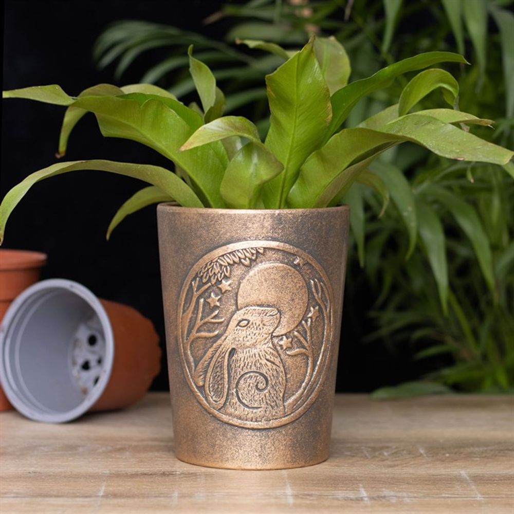 Moon Gazing Hare Bronze Terracotta Plant Pot by Lisa Parker: 1 - Pots & Planters By Gift Moments