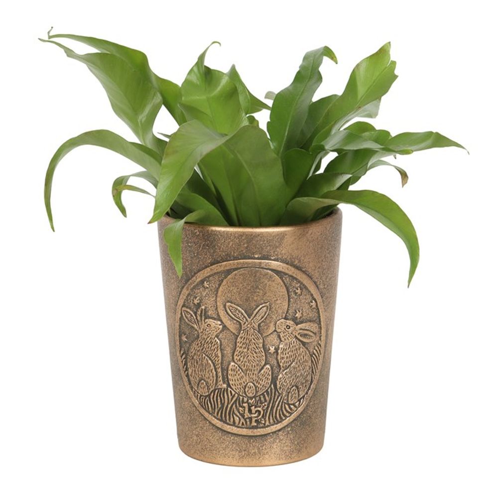 Moon Shadows Bronze Terracotta Plant Pot by Lisa Parker: 2 - Pots & Planters By Gift Moments