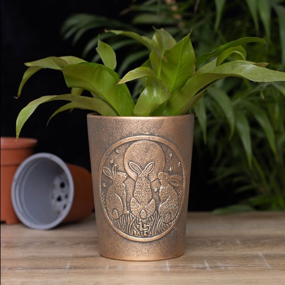 Moon Shadows Bronze Terracotta Plant Pot by Lisa Parker: 1 - Pots & Planters By Gift Moments