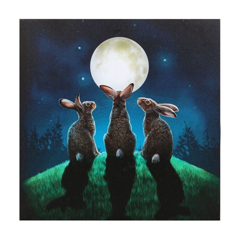Moon Shadows Light Up Canvas Plaque by Lisa Parker: 3 - Wall Art By Gift Moments