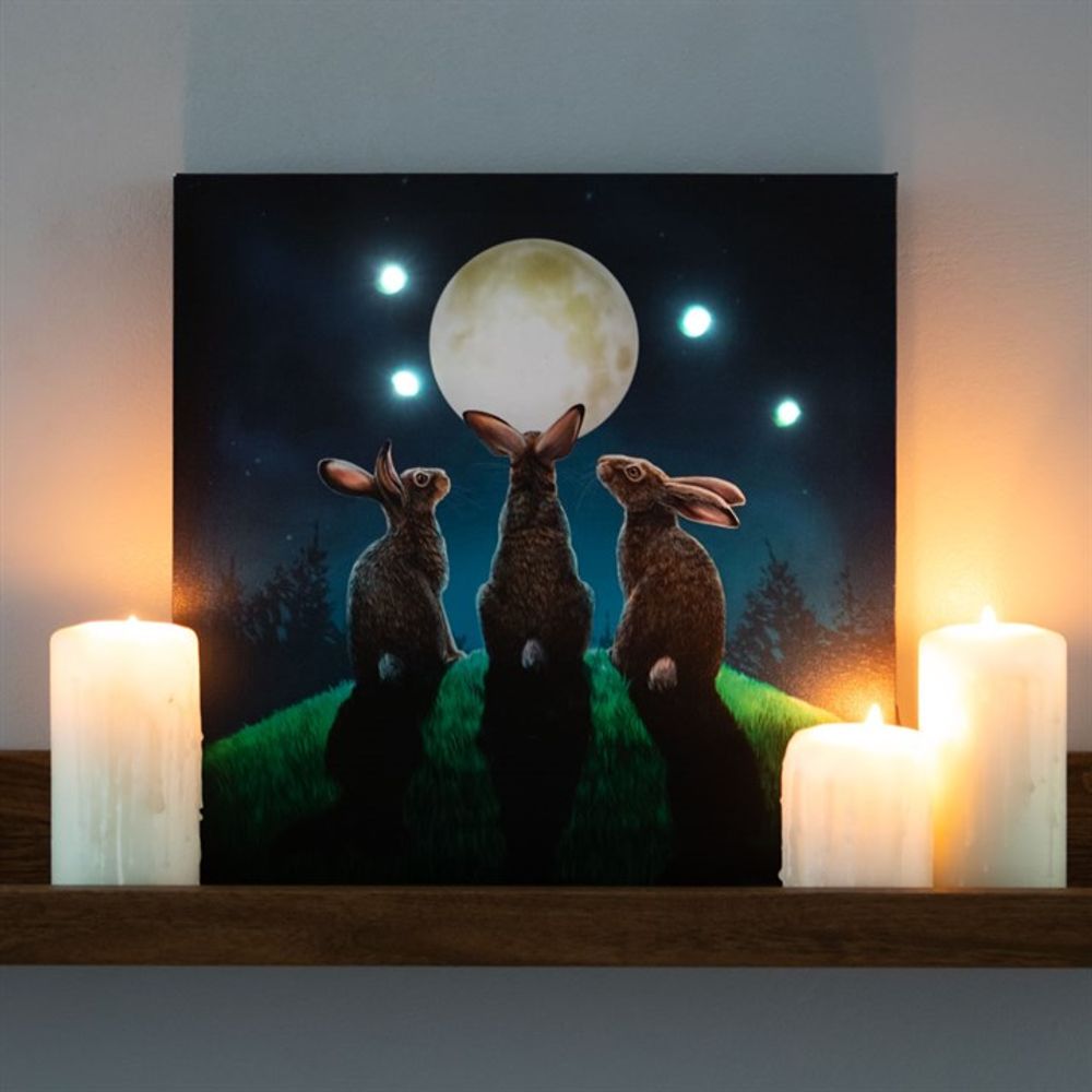 Moon Shadows Light Up Canvas Plaque by Lisa Parker: 1 - Wall Art By Gift Moments