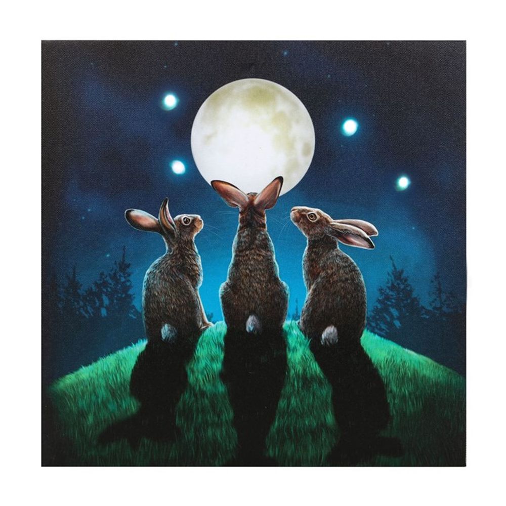 Moon Shadows Light Up Canvas Plaque by Lisa Parker: 2 - Wall Art By Gift Moments