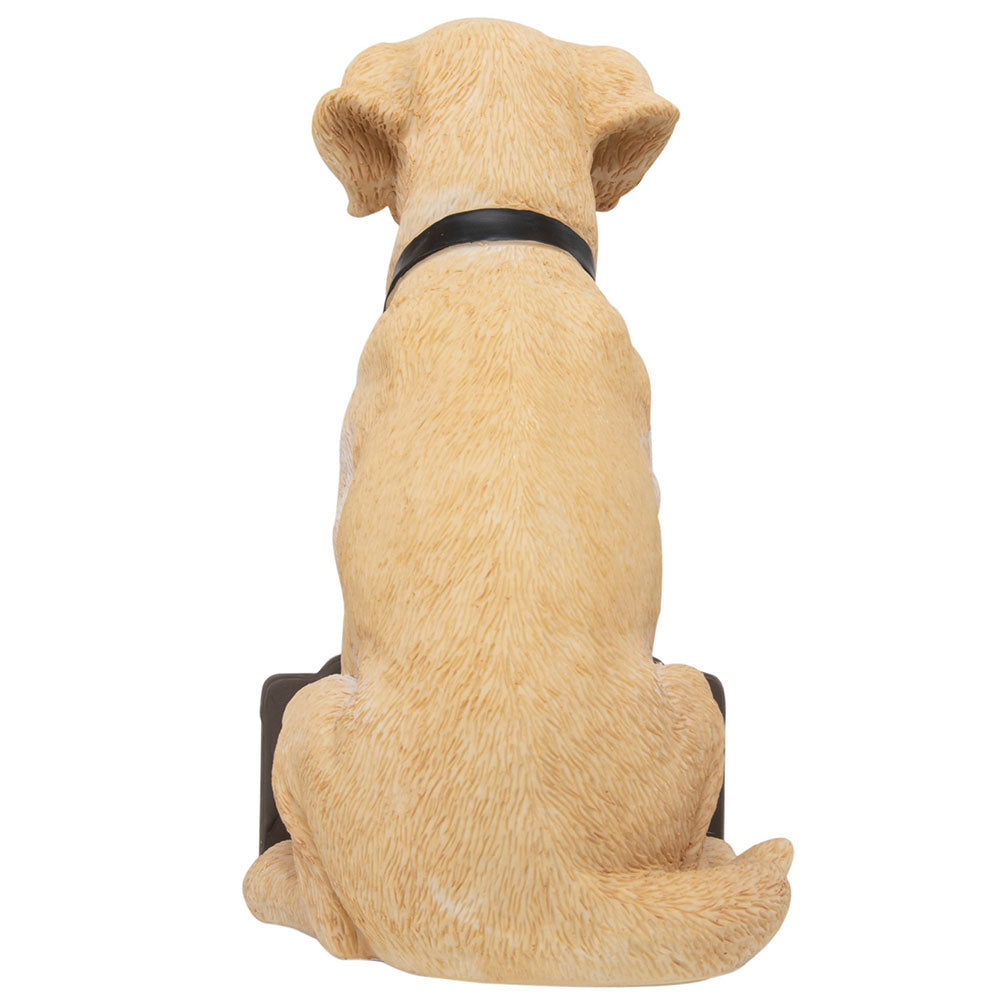 Newcastle United FC Labrador Gnome: 3 - By Newcastle United