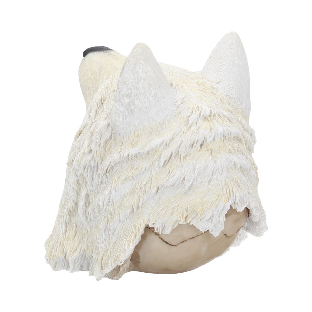 Night Wolf Skull 15.6cm: 5 - Figures & Collectables By Gift Moments