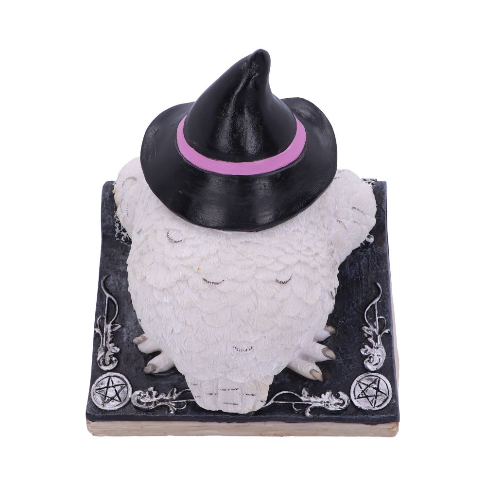 Owl with book Figurine 15cm: 4 - Figures & Collectables By Gift Moments