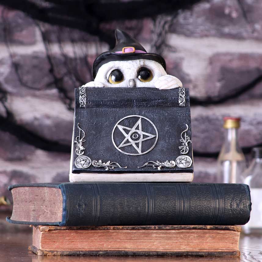 Owl with book Figurine 15cm: 1 - Figures & Collectables By Gift Moments