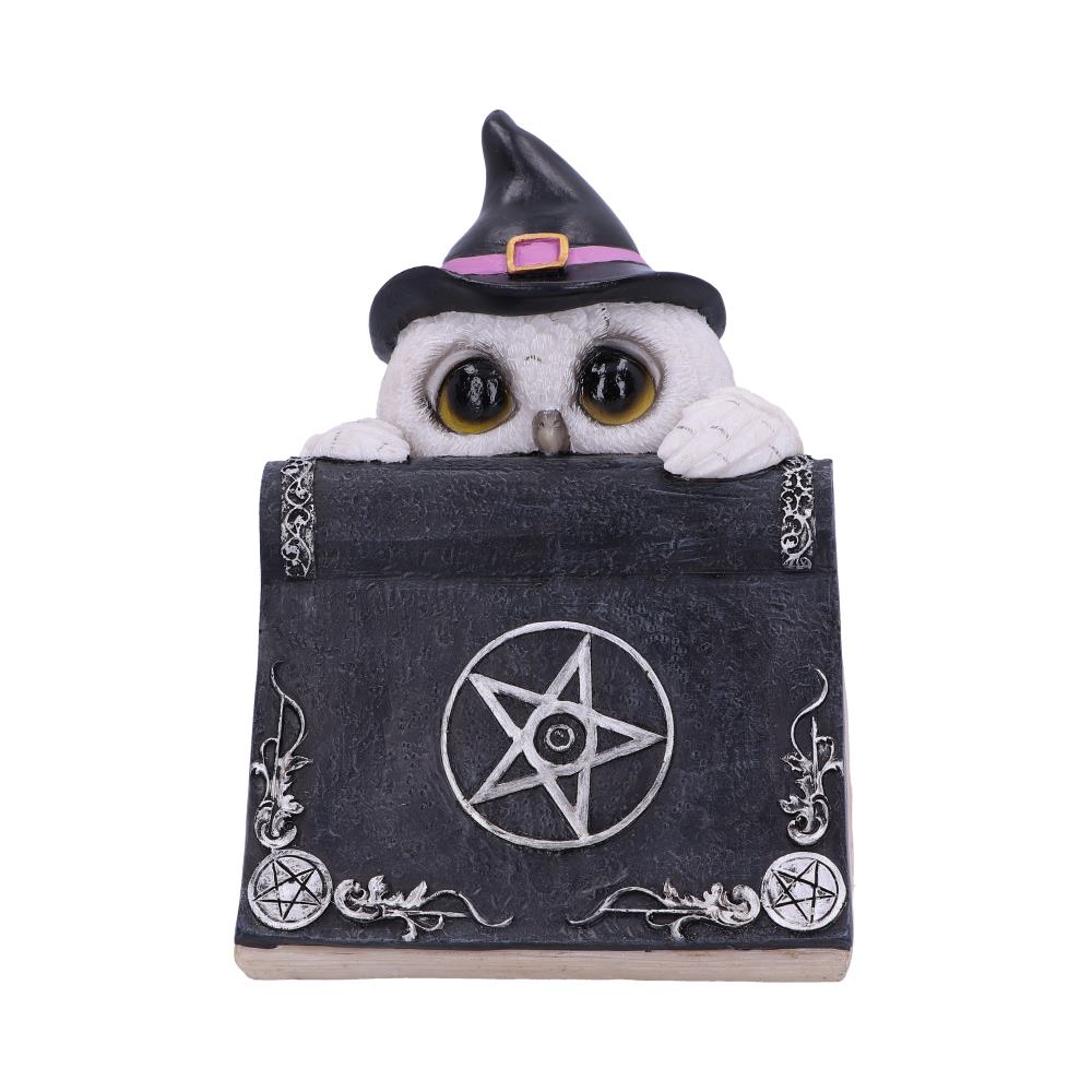 Owl with book Figurine 15cm: 3 - Figures & Collectables By Gift Moments