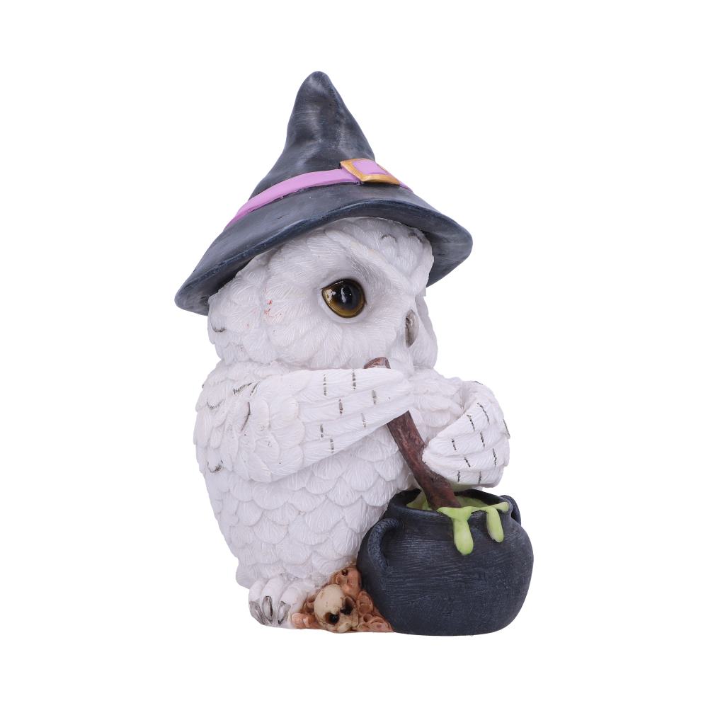 Owl Potion Figurine 17.5cm: 5 - Figures & Collectables By Gift Moments
