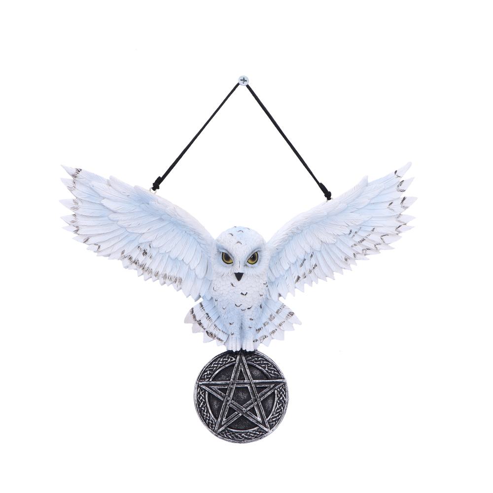 Owl Talisman Hanging Decoration: 2 - Wall Hanging Sculptures By NN Designs